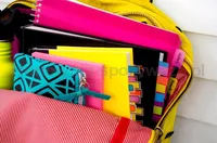 Post-It Zakładki indeksujące (684-ARR1), PP, 11,9x43,2mm, strzałka, 5x20 kart., mix kolorów  - 8