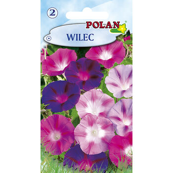 Wilec Polan