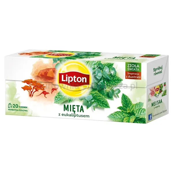 Herbata LIPTON ziołowa, mięta z eukaliptusem, 20 torebek