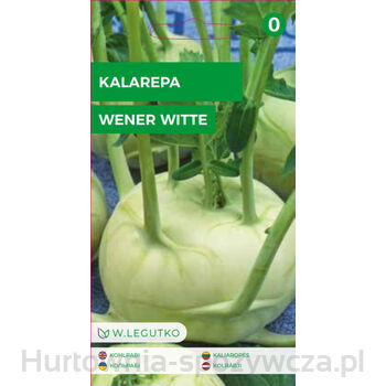 Kalarepa Wener Witte, Wiedeńska Biała - Wczesna, Jasnozielona  1G  Seria Bazowa Legutko